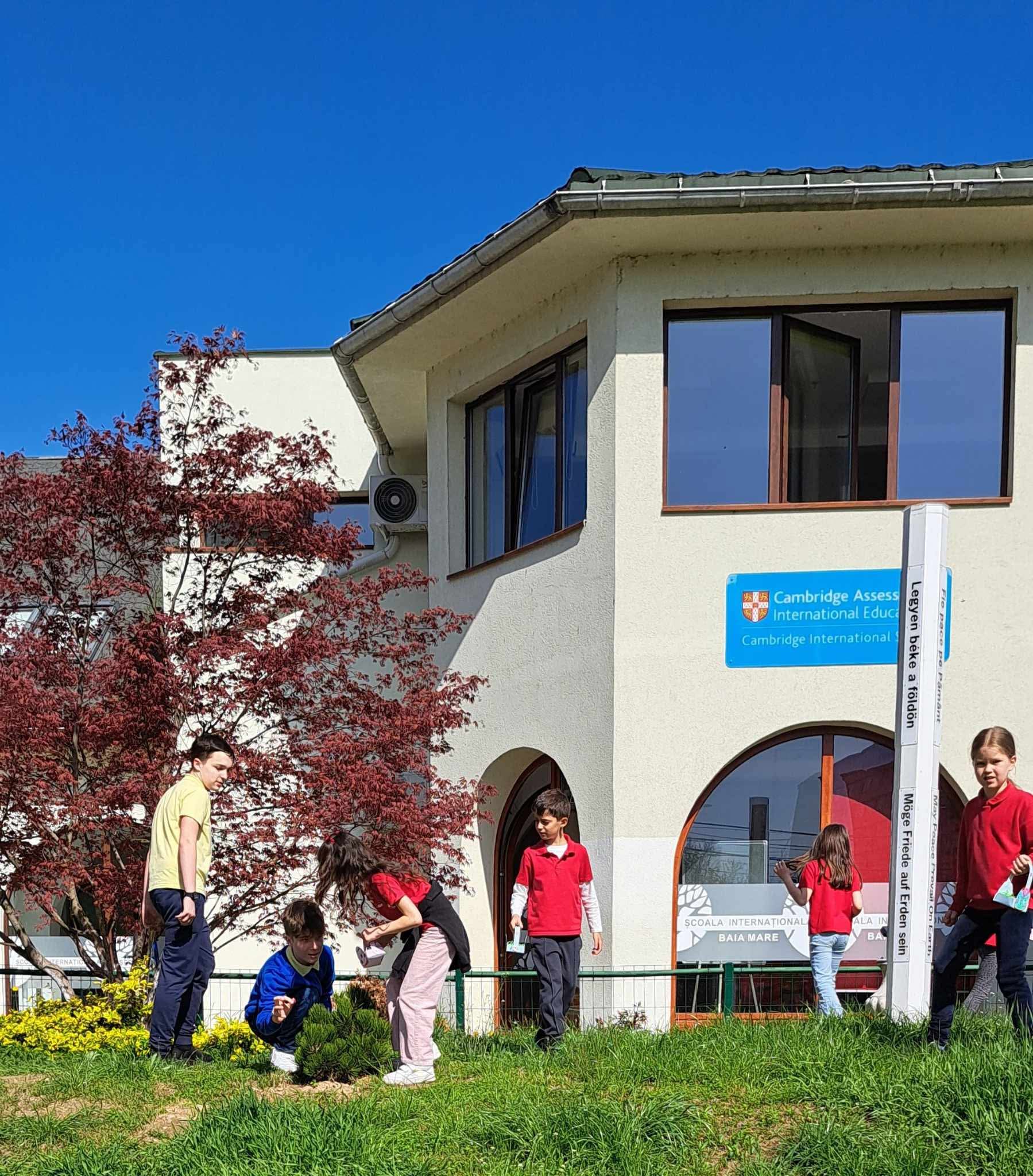 LICEUL INTERNAȚIONAL  BAIA MARE