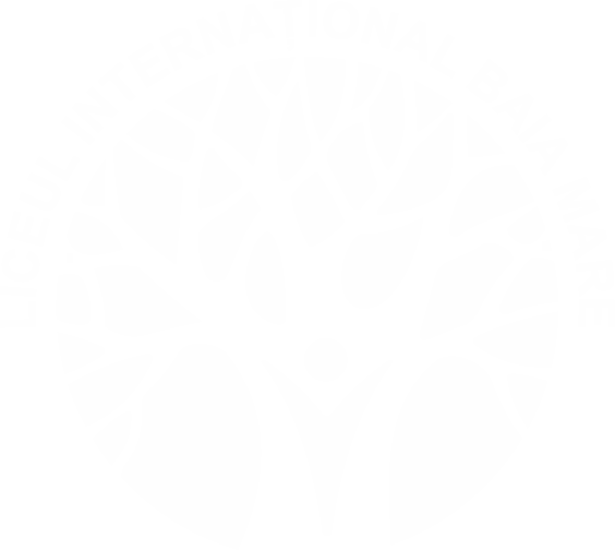 INTERNATIONAL SCHOOL BAIA MARE
